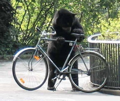 ours-velo.jpg