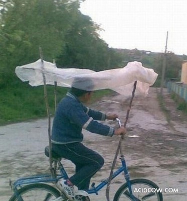 Sans titre-1 copie.jpg